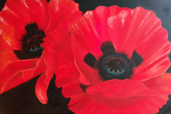 Two Poppies